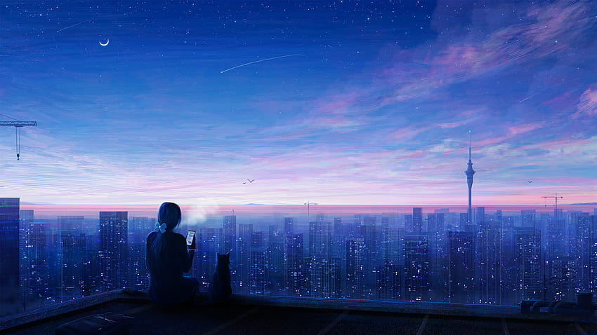 Şehir gece yıldızı kız cep telefonu kedi güzel anime manzarası HD duvar kağıdı