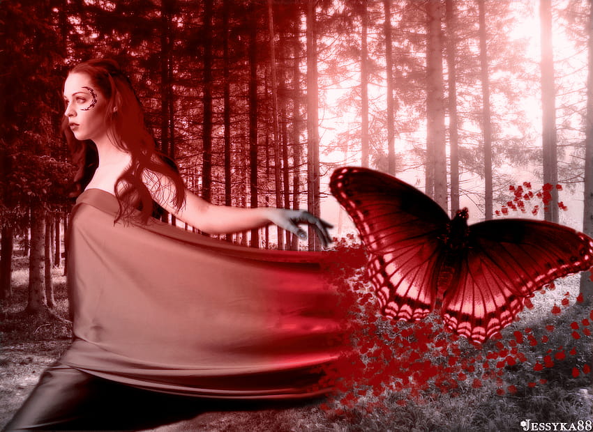 Dreamy woman and butterfly in forest and Backgrounds, women with butterfly HD wallpaper