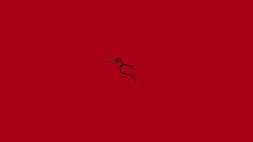 Kali, Kali Linux, Linux, Merah, Logo / dan, kaali Wallpaper HD