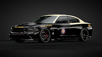 Florida Highway Patrol Ghost Livery Charger. Thoughts on how I could ...