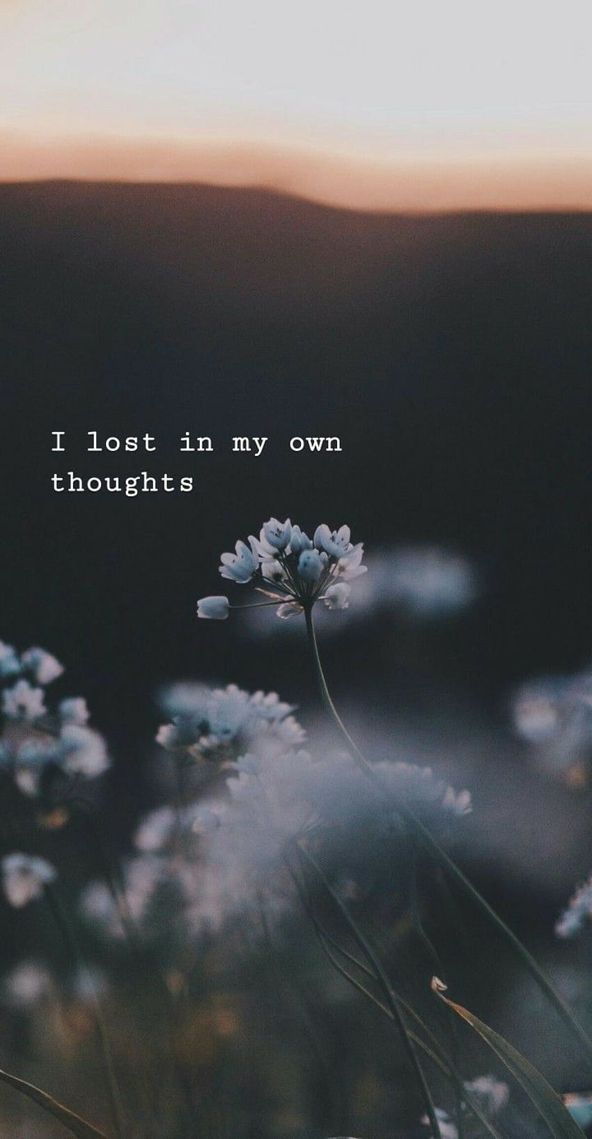 Pin on and stuff, deep thoughts HD phone wallpaper | Pxfuel