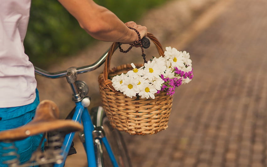 4 Bicycles and Flowers, girl and a basket of flower HD wallpaper | Pxfuel