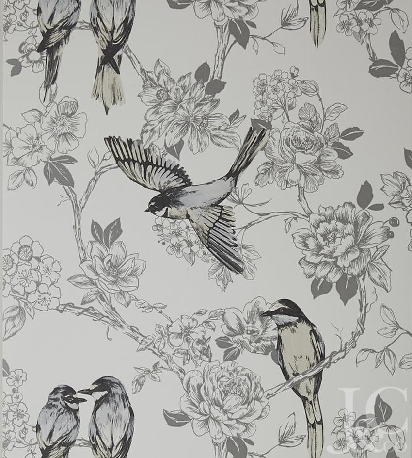 songbirds HD phone wallpaper
