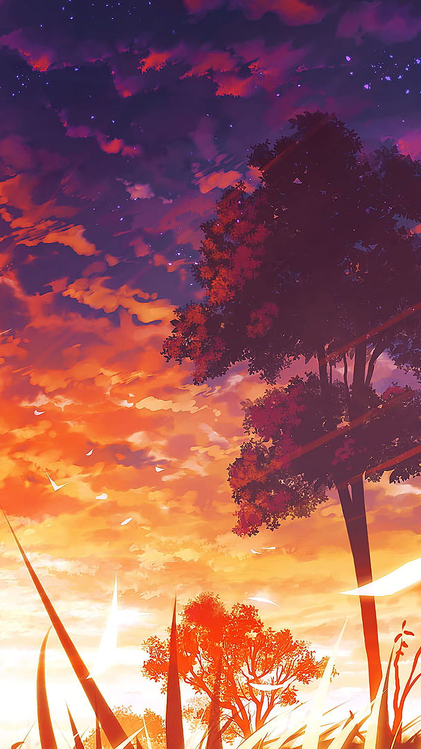 Pôr do sol da floresta de anime escuro