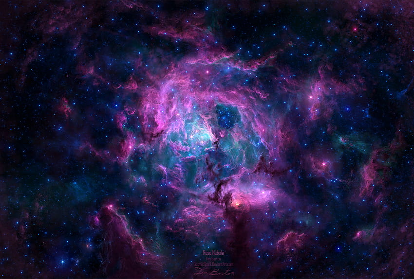 Rose Nebula, lila barton HD wallpaper