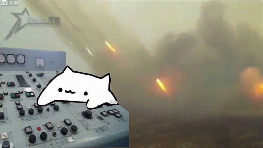Bongo Cat meme made it over 100k views on visicks channel! show some HD wallpaper
