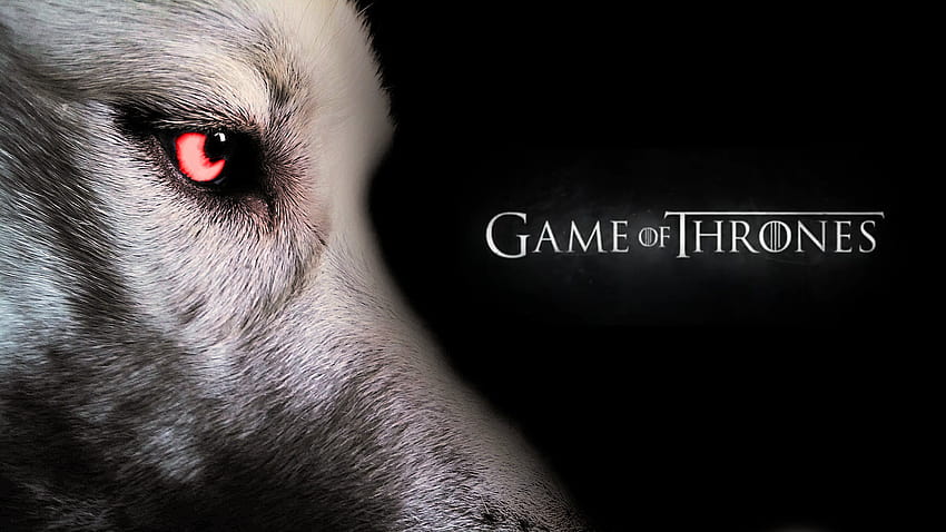 Got a badass of my dog with my phone this morning! : r/pics, ghost game of thrones HD wallpaper