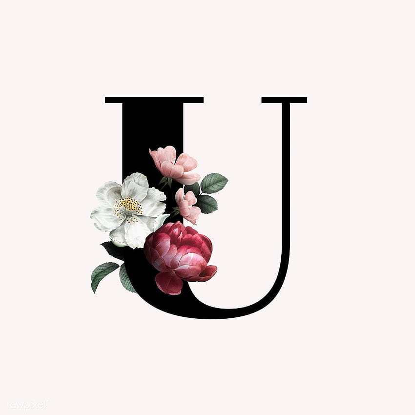 Classic and elegant floral alphabet font letter U vector HD phone wallpaper