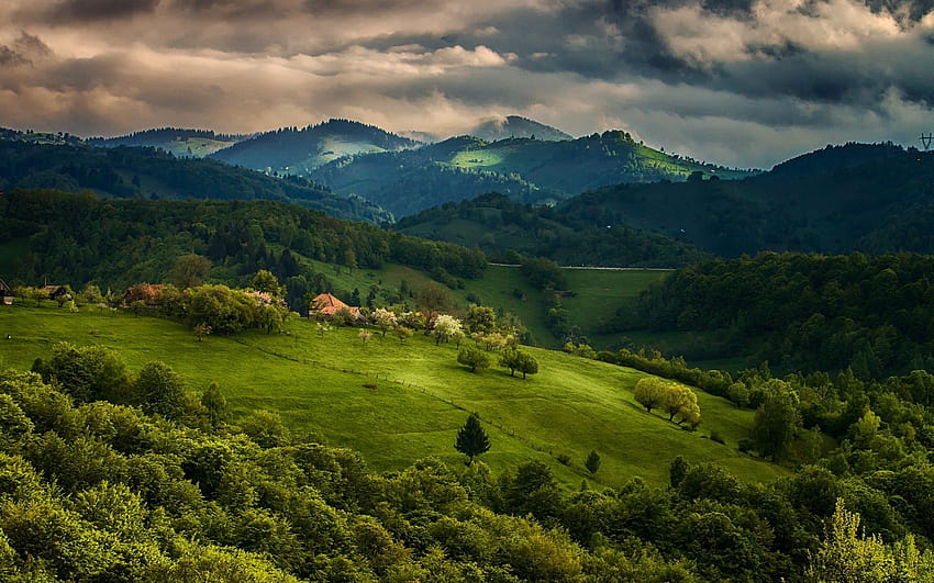 Natur, Landschaft, Frühling, Wald, Haus, Feld, Berg, Wolken, Feld Himmelsgras HD-Hintergrundbild