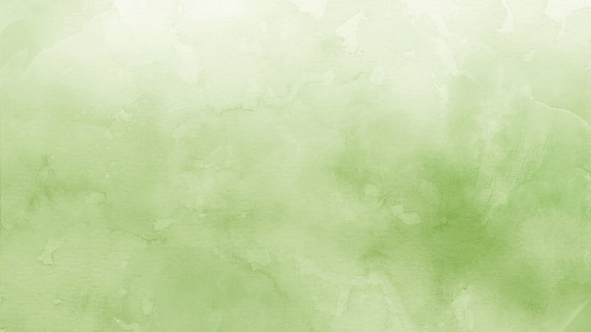 Tela cheia, fundo da web verde papel de parede HD