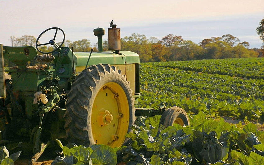 Fields: Fields graphy Crops Tractor Break Nature Takin Farm R HD wallpaper