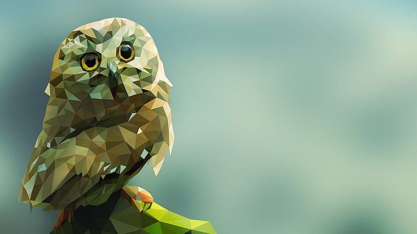 566676 1920x1080 animals digital art artwork gradient simple backgrounds  birds owl JPG 235 kB, green owl HD wallpaper | Pxfuel