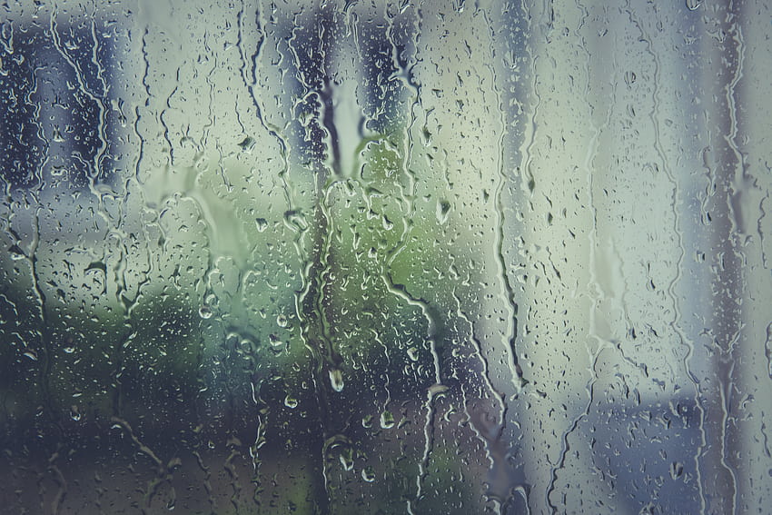 stock of rain, rain background, rain, drip rain HD wallpaper