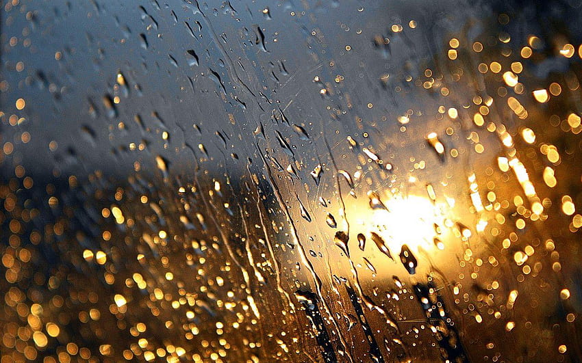 Rain drops Group, raindrops on window HD wallpaper