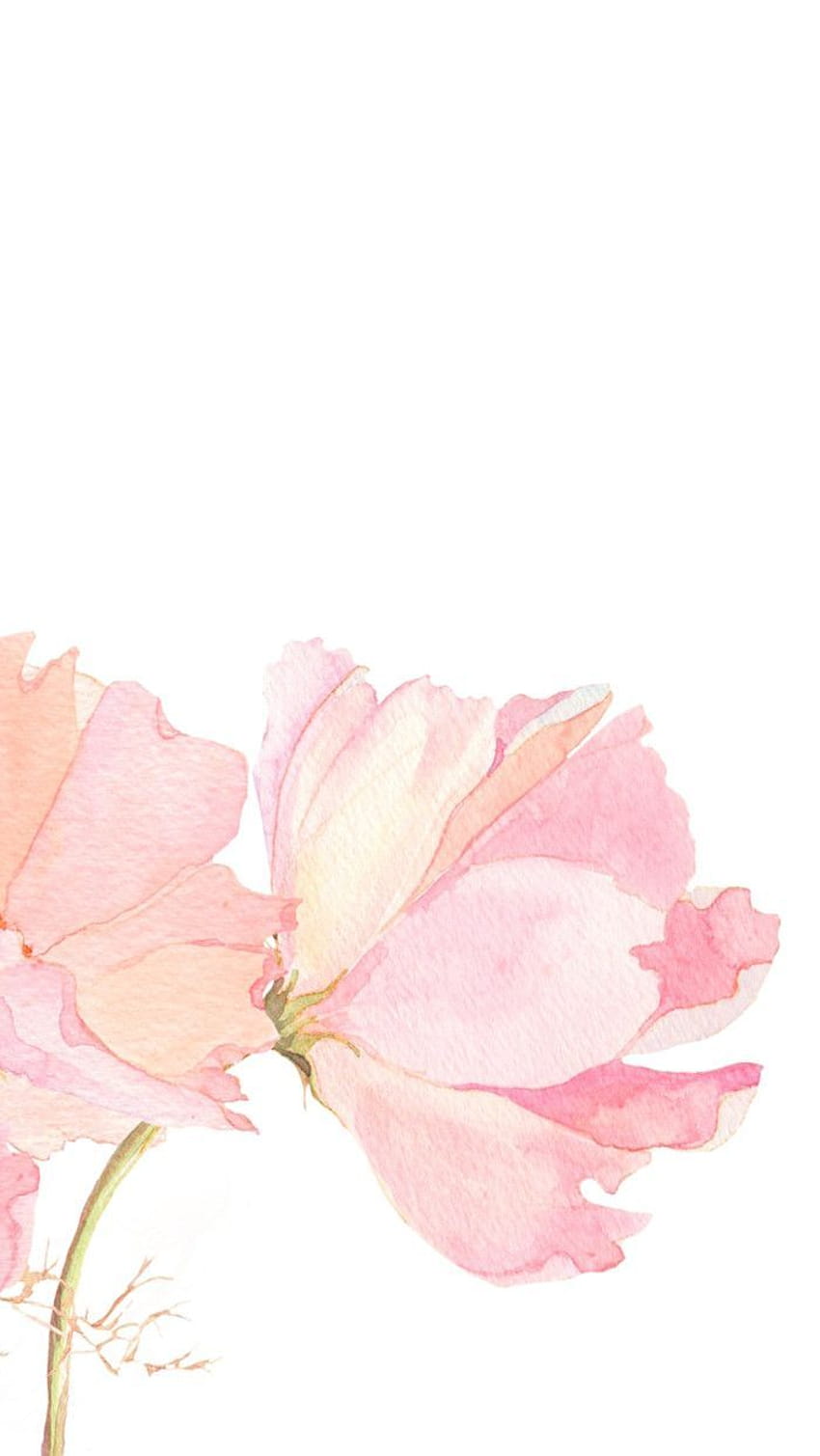 Różowe akwarele kwiatowe kwiaty Iphone Phone, akwarela kwiatowy Tapeta na telefon HD