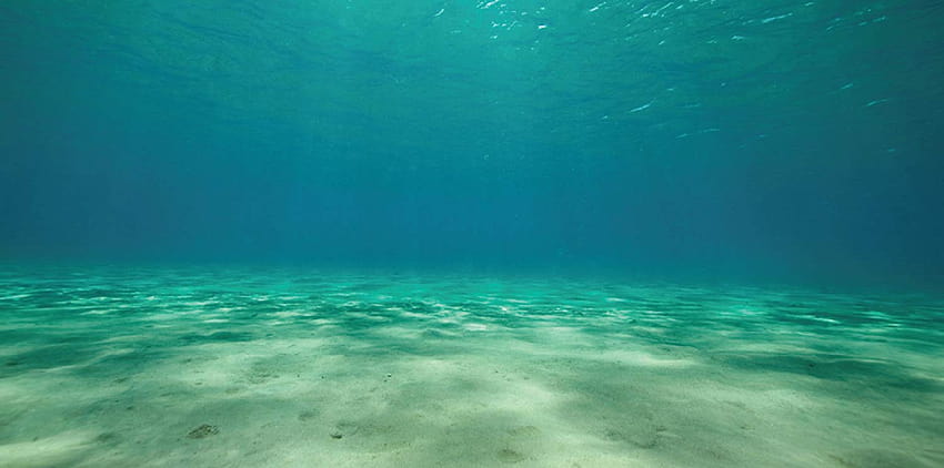 Dno oceanu o wysokiej rozdzielczości, dno morskie Tapeta HD