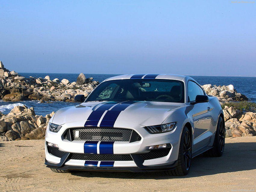 Shelby Mustang GT350 Ford Mustang Shelby GT350 2016 White, ford shelby gt350 HD wallpaper