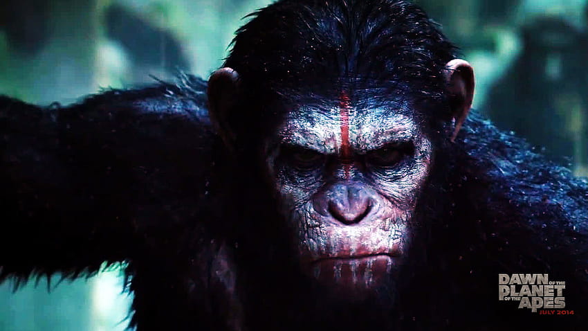 Best 5 Dawn of the Planet of the Apes on Hip, great ape HD wallpaper