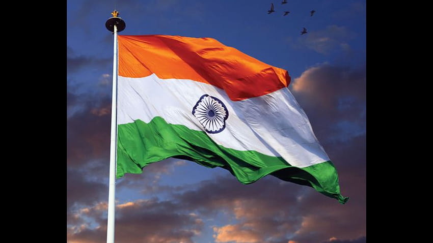 15 de agosto, bandeira indiana dp papel de parede HD