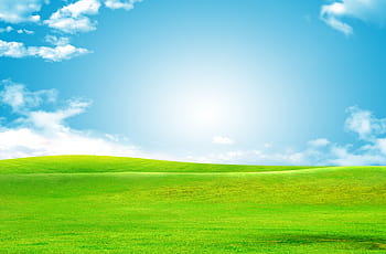 Green grass background HD wallpapers | Pxfuel
