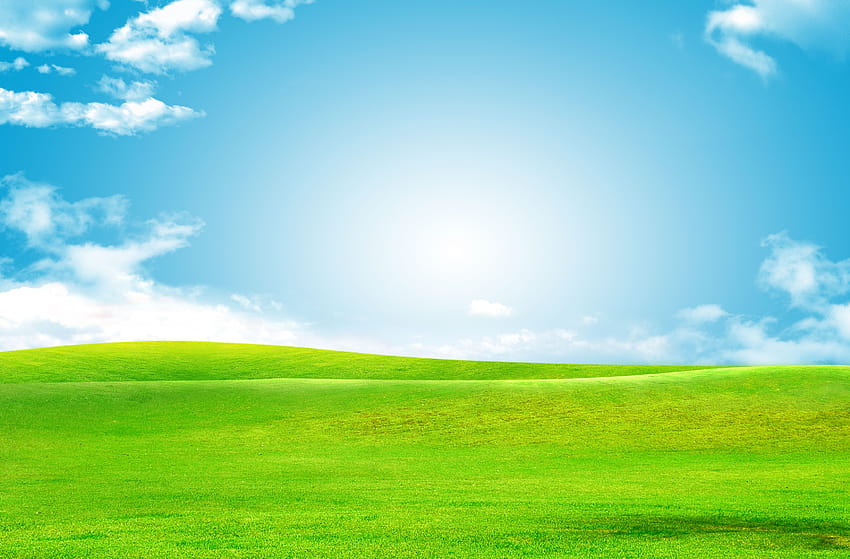 하늘 녹색 잔디 배경, 하늘과 잔디 HD 월페이퍼