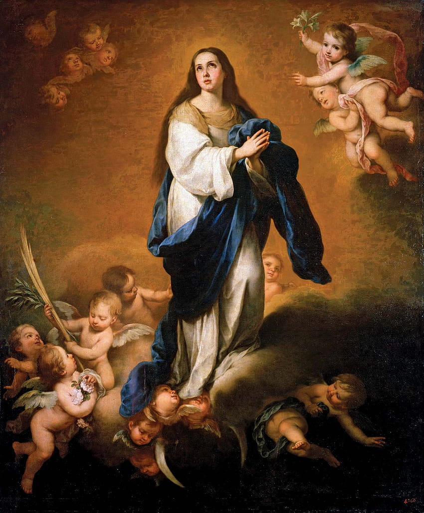 assumption of mother mary HD phone wallpaper