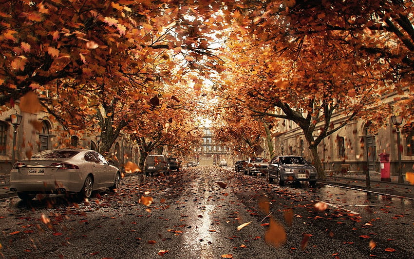 Samochody, drzewa, droga, miasto, liście, jesień 1920x1080 Pełny, miasto jesień Tapeta HD