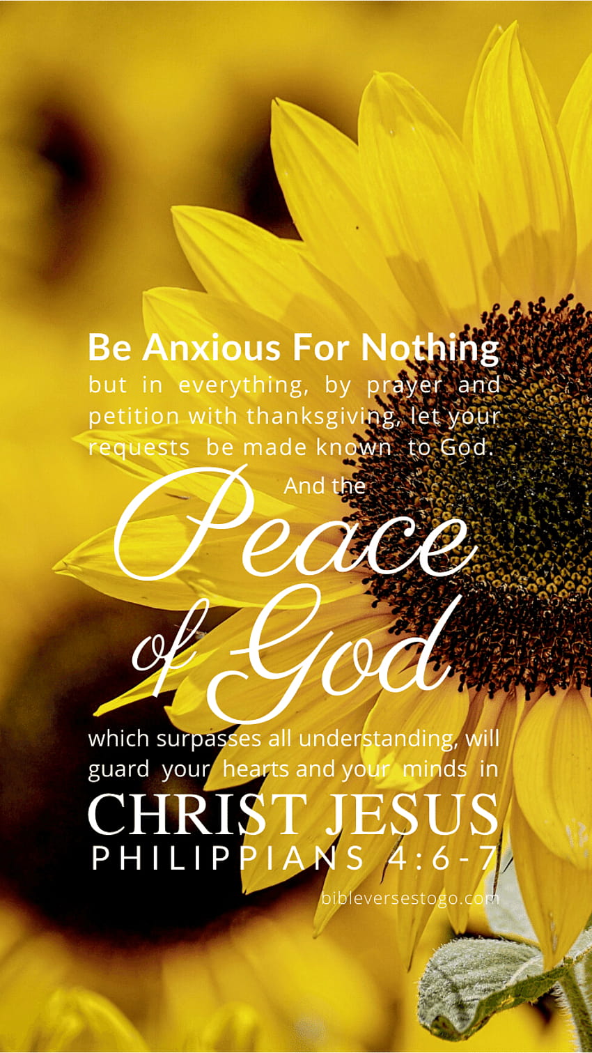 Sunflower Bible Verse, thanksgiving with sunflowers HD phone wallpaper