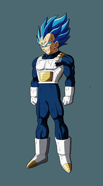 OC) A Super Saiyan Blue Vegeta : r/dbz