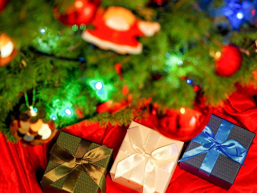 Three Christmas presents under the tree, christmas presents under tree ...