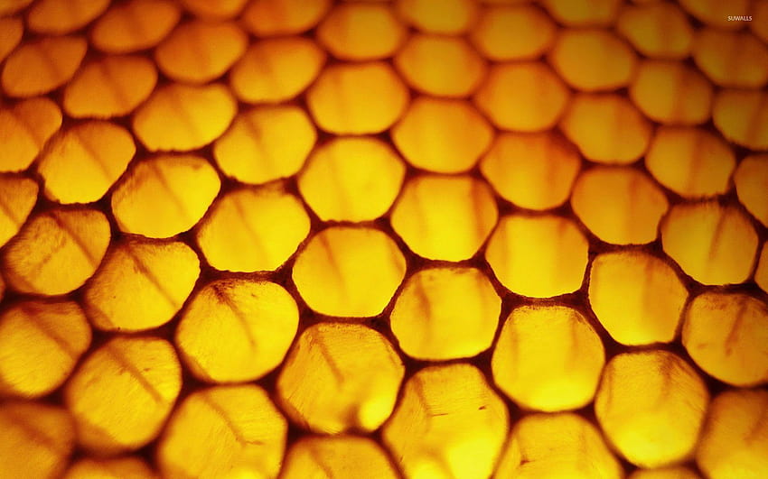 Honeycomb , 100% Quality Honeycomb Full HD wallpaper