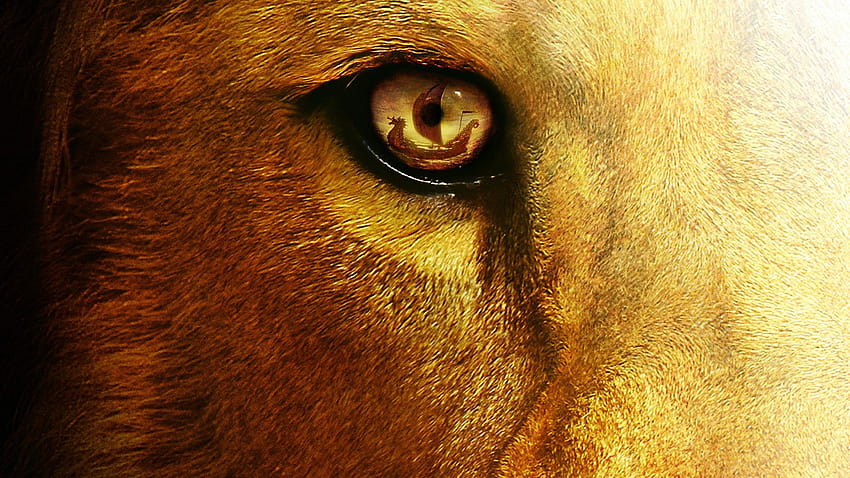 chronicles, Of, Narnia, Voyage, Dawn, Treader, Fantasy, Lion, Eye / and Mobile Backgrounds, lion eye HD wallpaper