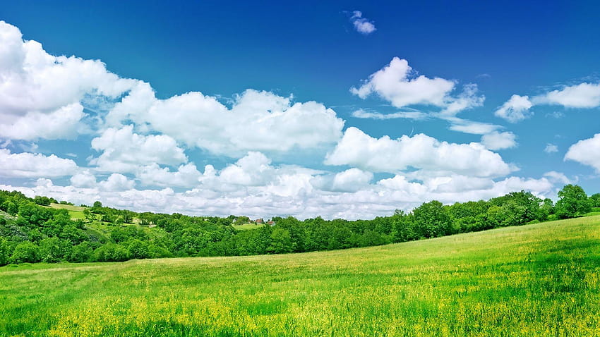 Schöne Natur im jpg-Format für Grünland HD-Hintergrundbild