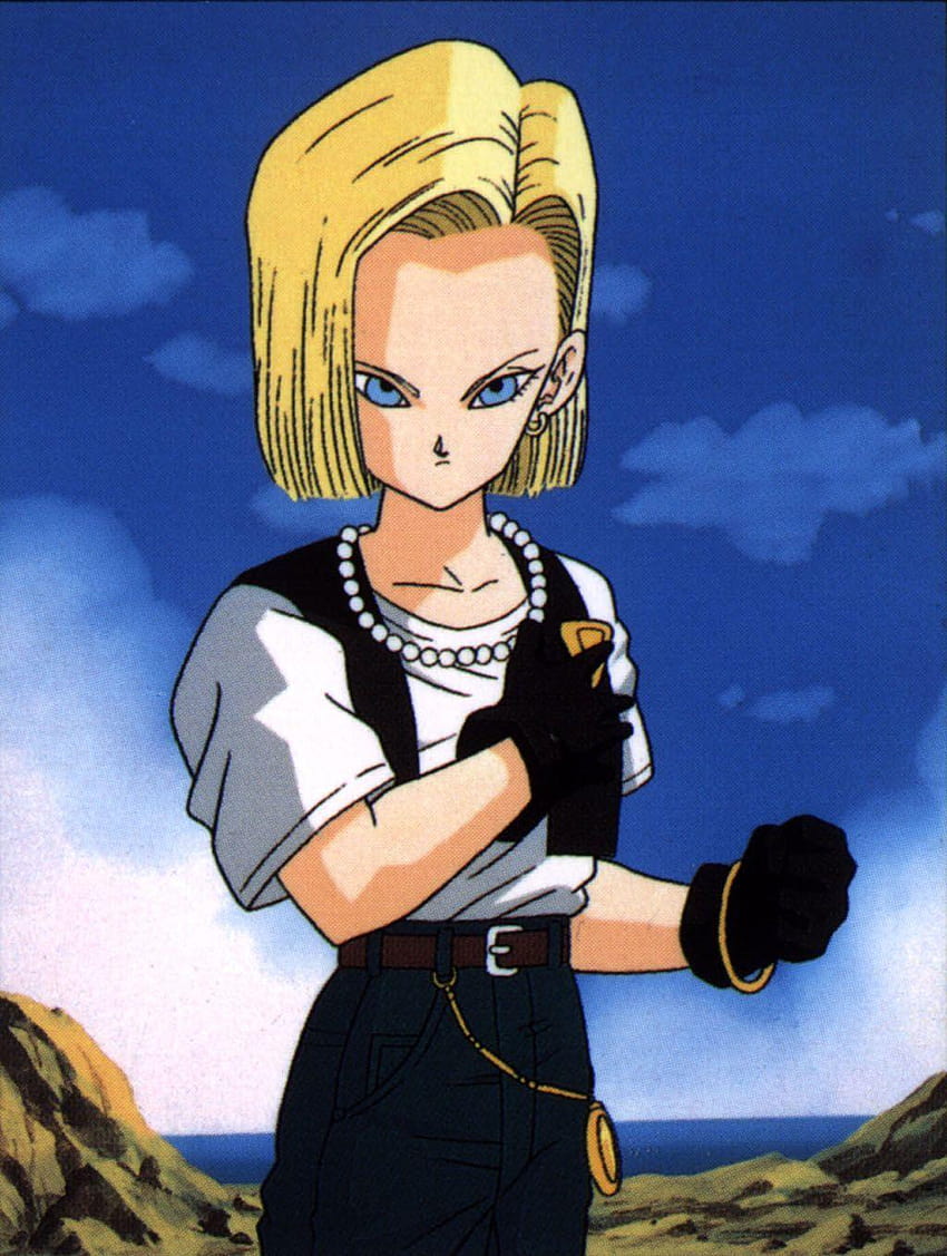 DRAGON BALL Z : ANDROID 18 HD phone wallpaper | Pxfuel