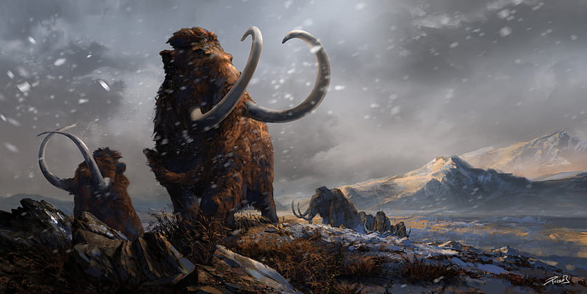 Prehistoric Mammals Woolly Mammoths by Balcsika [1600x803] for your , Mobile & Tablet, prehistory HD wallpaper