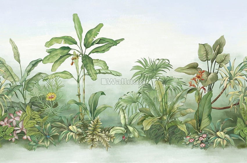 Tropical Rainforest Drawing Art ...wallmur · W magazynie rośliny z lasów deszczowych Tapeta HD