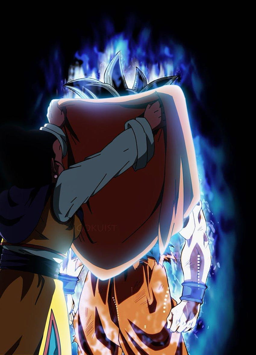 Chichi: Goku!!! Why do you have to expose your body?!, goku and chichi HD phone wallpaper