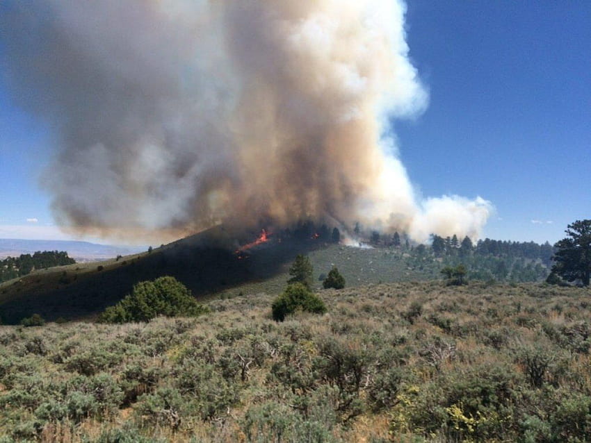 Die Mehrheit des Pine-Ridge-Feuers wird voraussichtlich bis Donnerstag, dem Frühlingsnachmittag, eingedämmt sein HD-Hintergrundbild