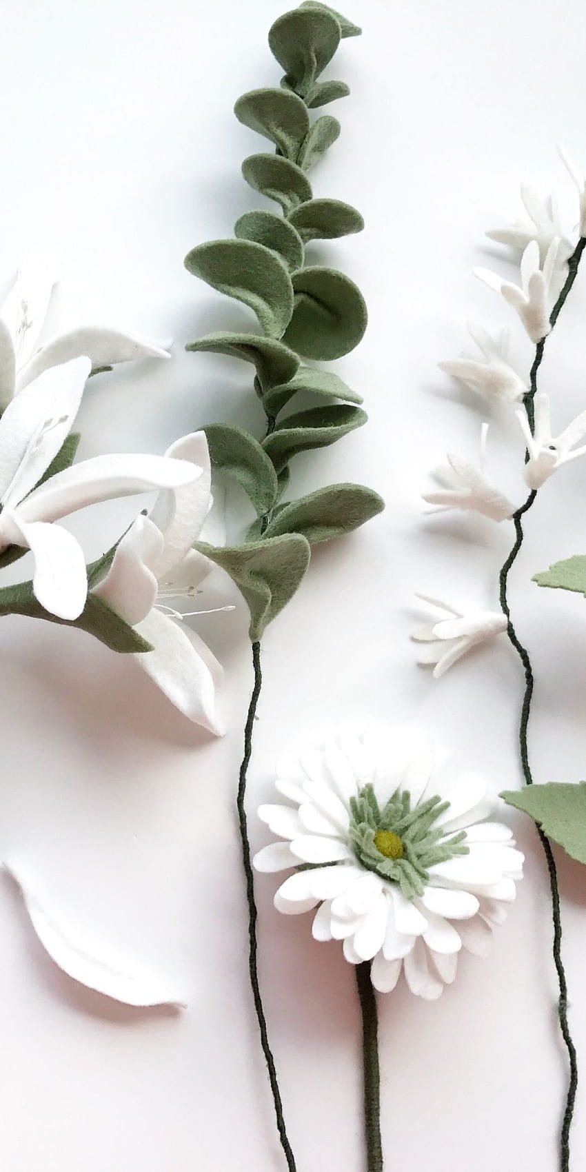 Зелени и бели цветя, бели растения HD тапет за телефон