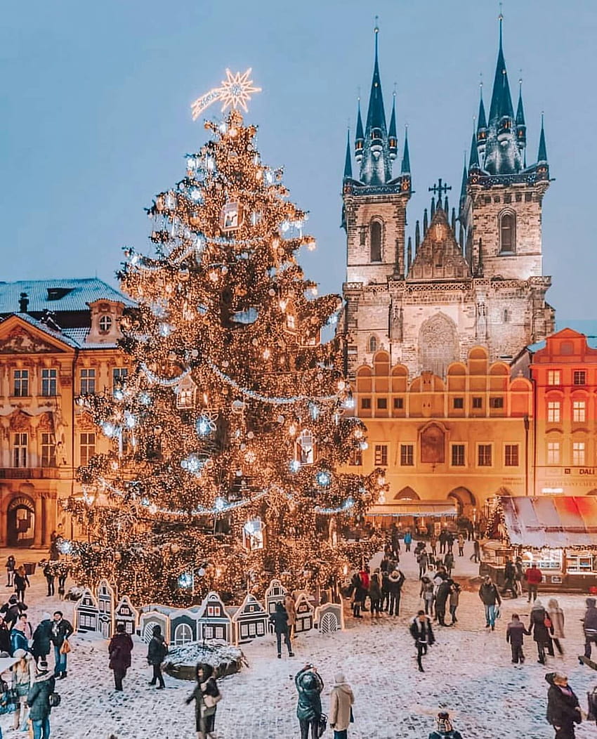 프라하 체코 공화국, 겨울 크리스마스 시장 HD 전화 배경 화면