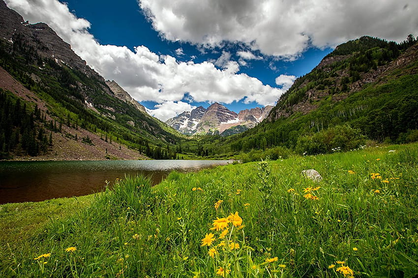 USA Ruby Colorado Nature Mountains Lake Taraxacum Пейзаж, пейзаж с планинско езеро и цветя HD тапет