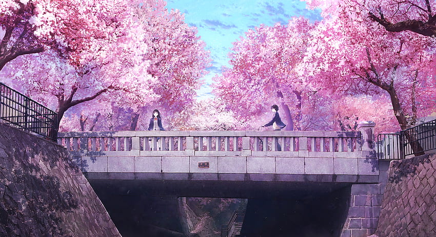 Anime Spring Phone wysłane przez Johna Thompsona, wiosenne anime Tapeta HD