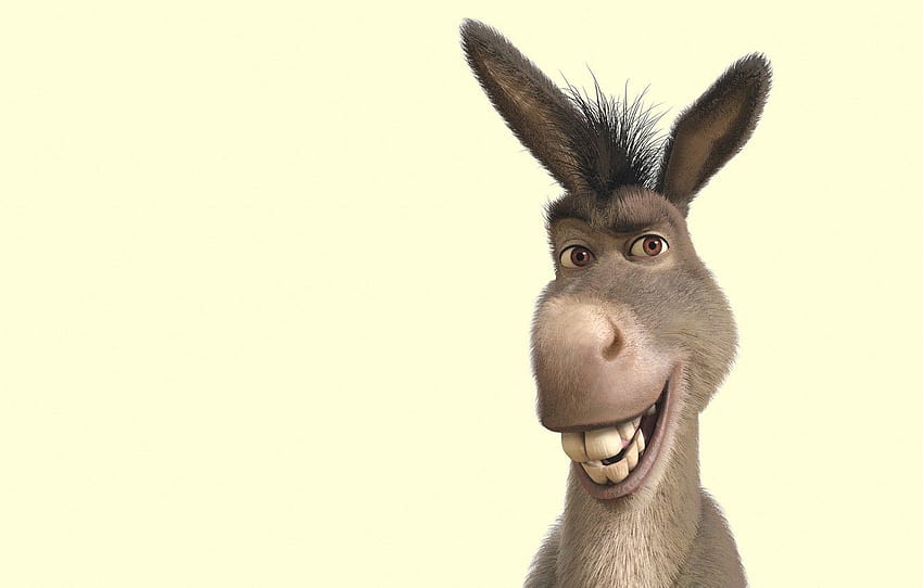 sorriso, Shrek, burro, sopa, Shrek, seção фильмы papel de parede HD