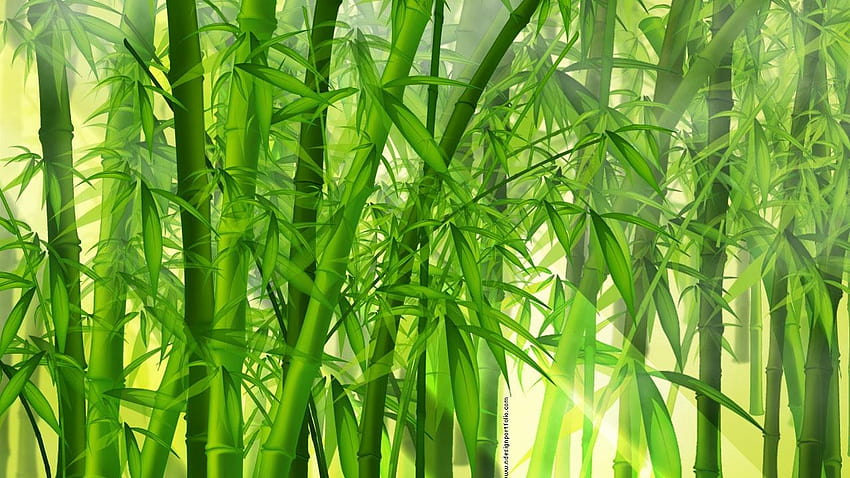 7 Bambu, hutan bambu hijau Wallpaper HD