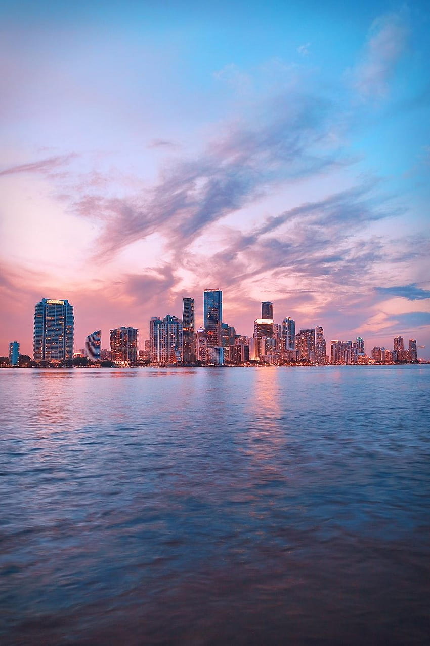 10 Beautiful Miami, miami florida palm trees and skyline HD phone wallpaper