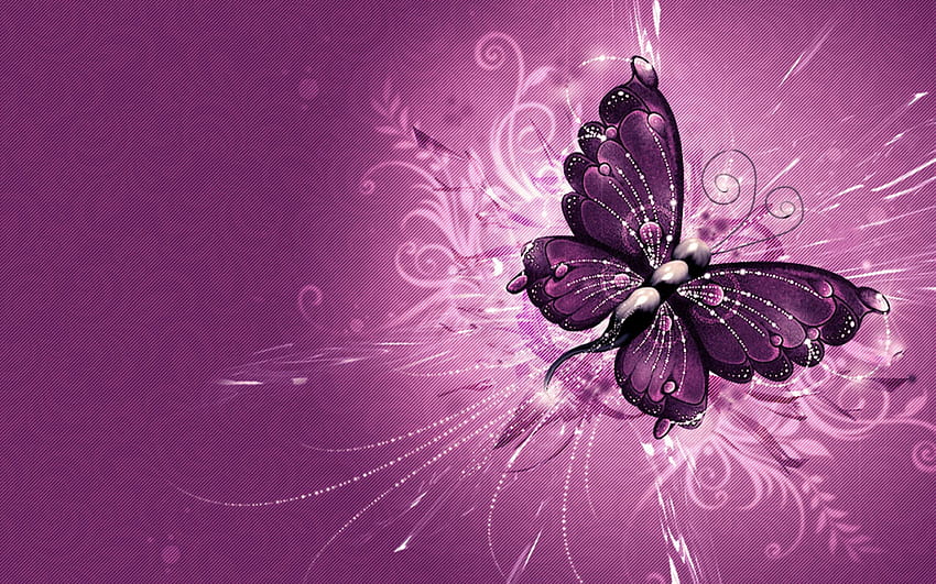 예쁜 나비 그룹, 아름다운 보라색 나비 HD 월페이퍼
