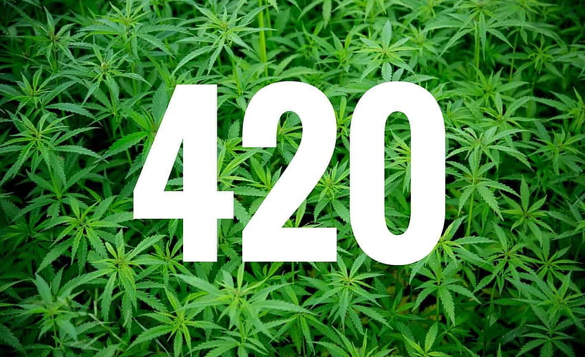 FACT CHECK: The Origins of 420, 420 background HD wallpaper