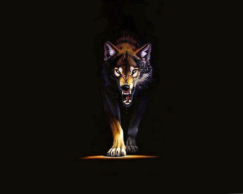 Wild Wolf, angry wolf HD wallpaper
