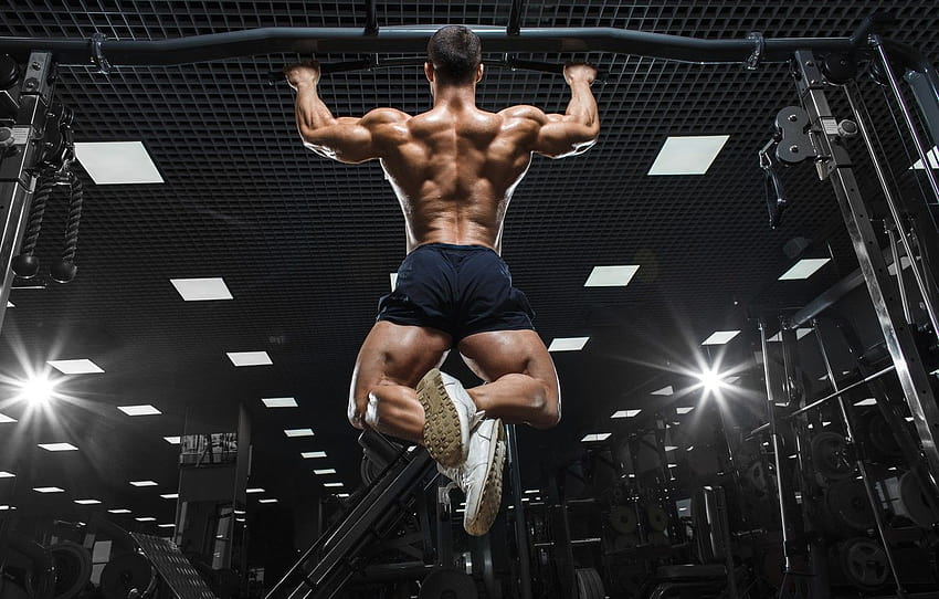 Back, muscle, muscle, Back, the horizontal bar, workout, gym, gym, training, weight, bodybuilder , section спорт, gym fitness HD wallpaper