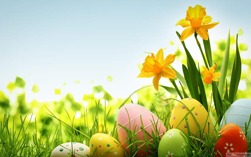 Colorful easter eggs, simple easter laptop HD wallpaper